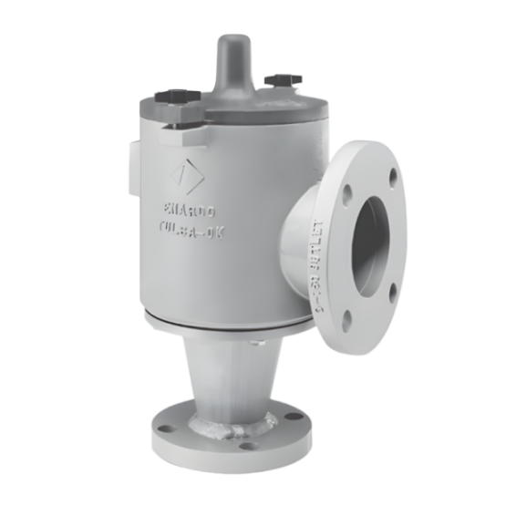 861 Pipe Away Pressure/Vacuum Relief Valve