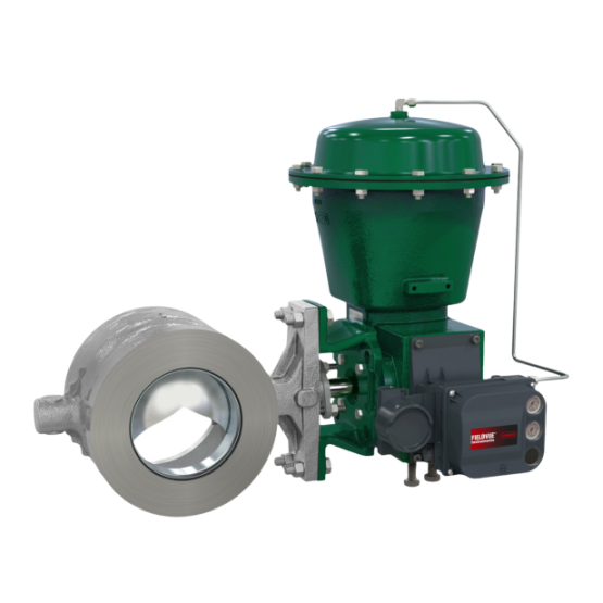 FISHER™ Vee-Ball™ V200U Rotary Control Valve